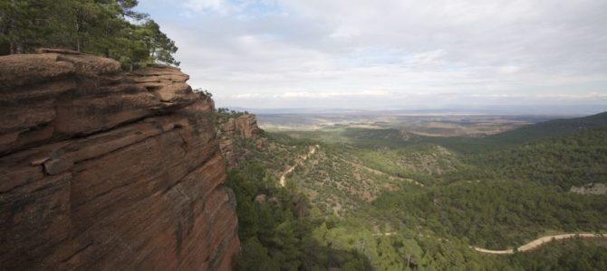 Randonnée dans les Pinares de Rodeno Randonnée dans les Pinares de Rodeno