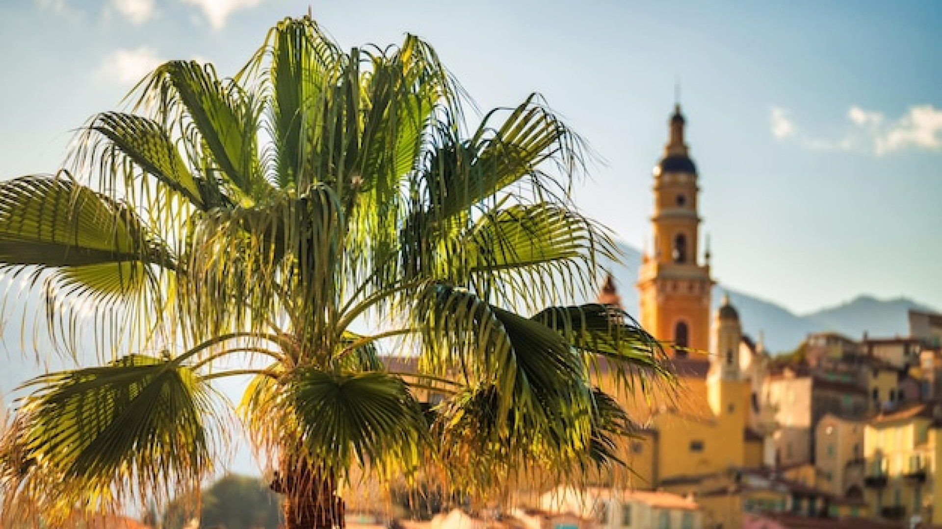 Comment organiser son voyage à Palma de Majorque ?